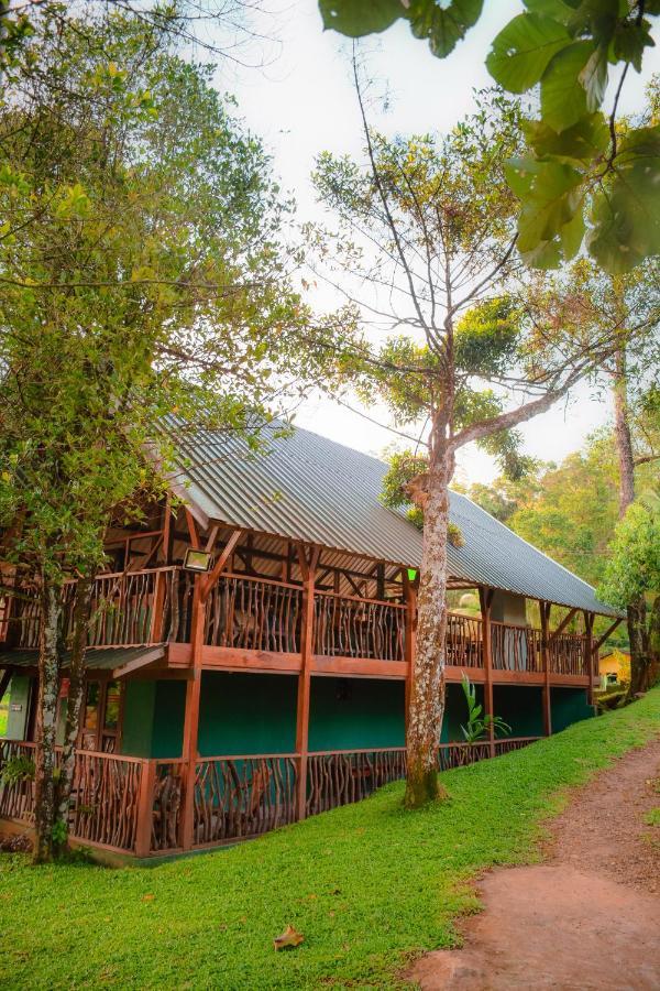 Cinnamon Village Sinharaja Deniyaya Buitenkant foto