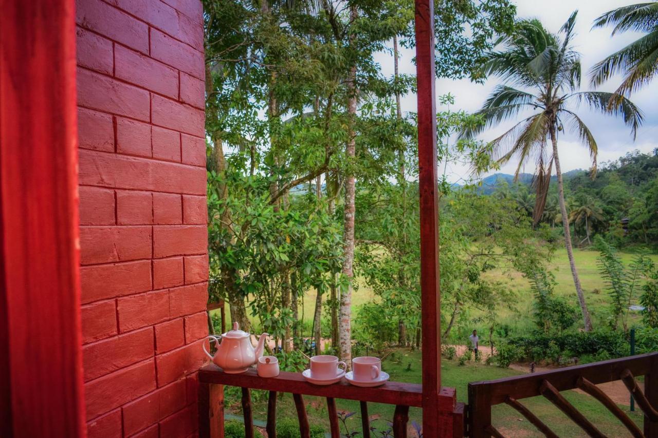 Cinnamon Village Sinharaja Deniyaya Buitenkant foto