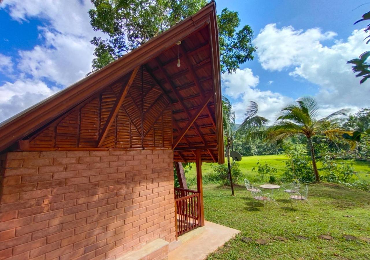 Cinnamon Village Sinharaja Deniyaya Buitenkant foto