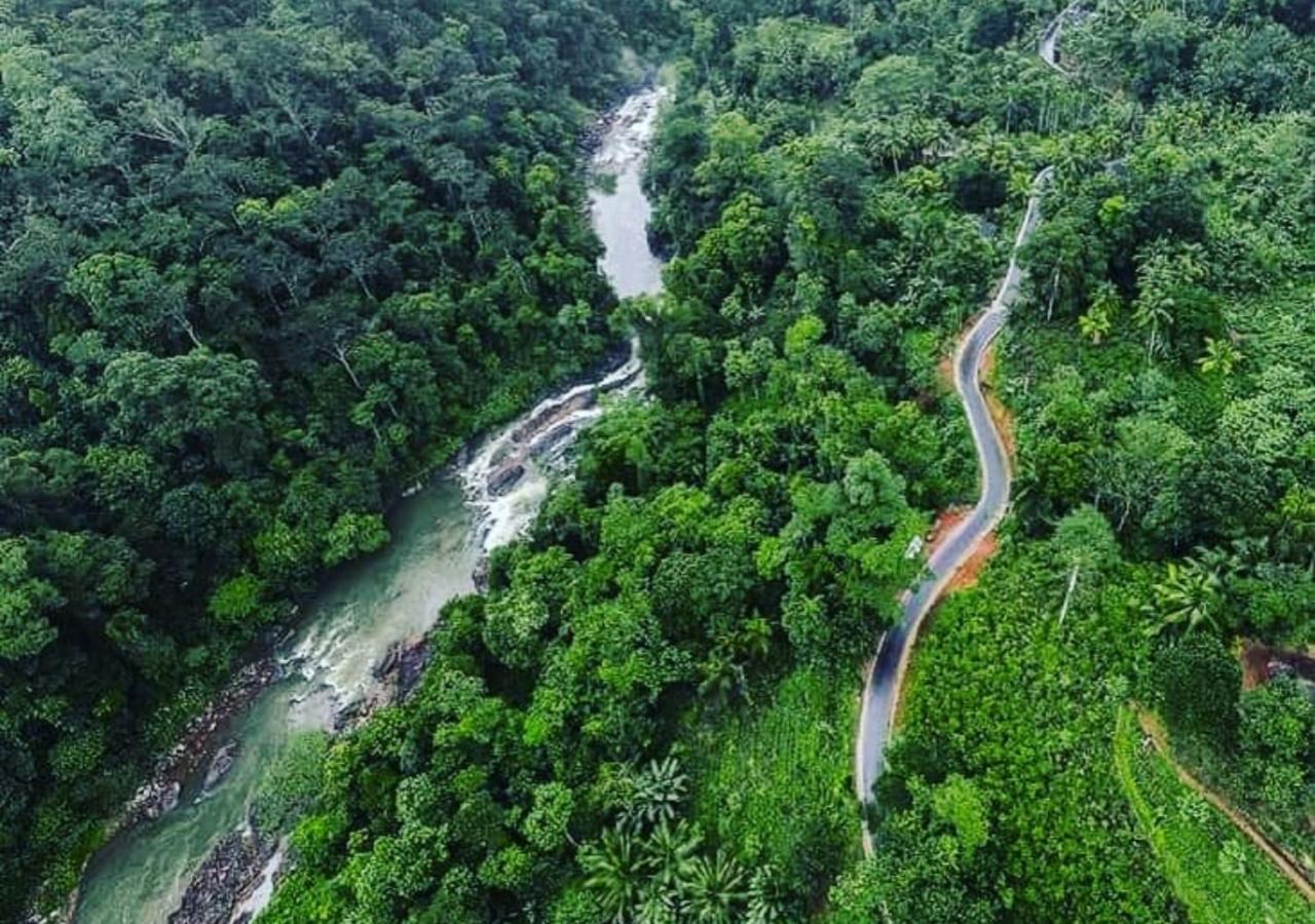 Cinnamon Village Sinharaja Deniyaya Buitenkant foto