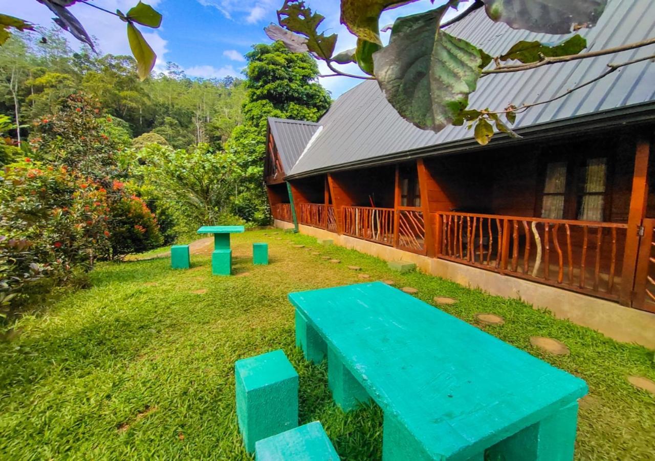 Cinnamon Village Sinharaja Deniyaya Buitenkant foto