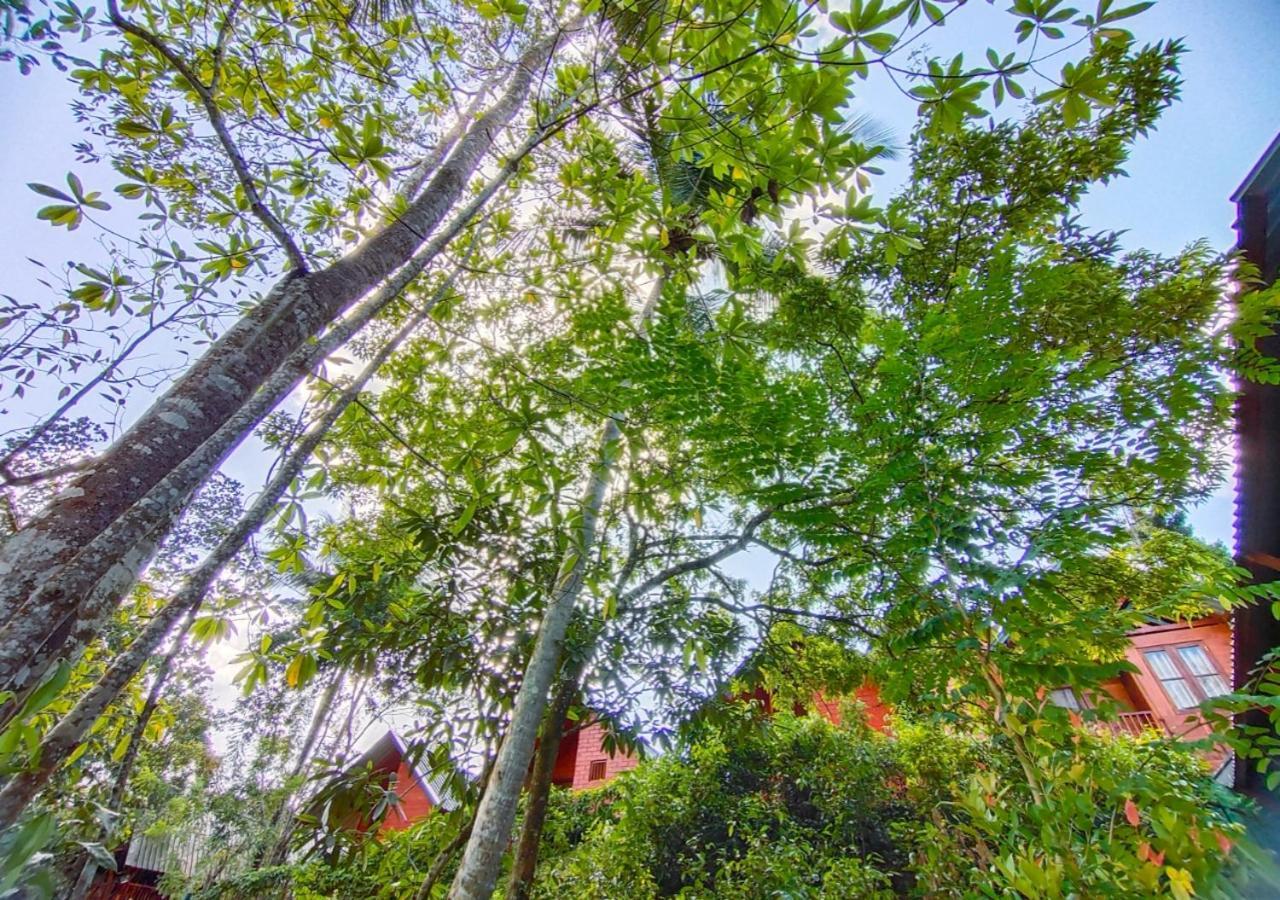 Cinnamon Village Sinharaja Deniyaya Buitenkant foto