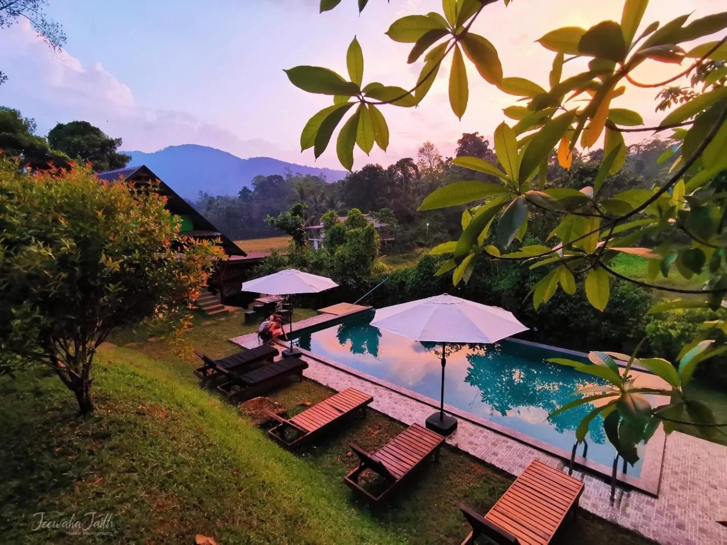 Cinnamon Village Sinharaja Deniyaya Buitenkant foto