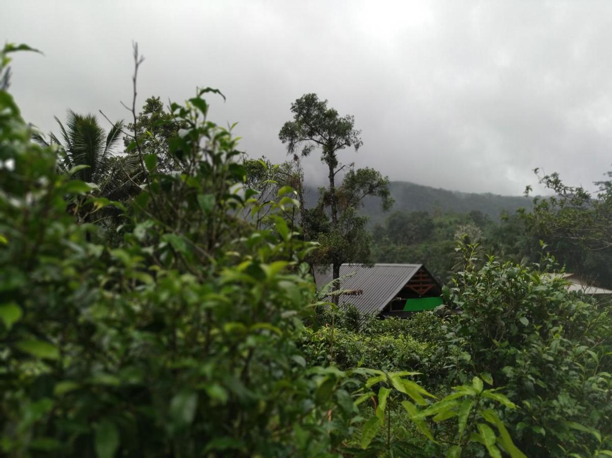 Cinnamon Village Sinharaja Deniyaya Buitenkant foto